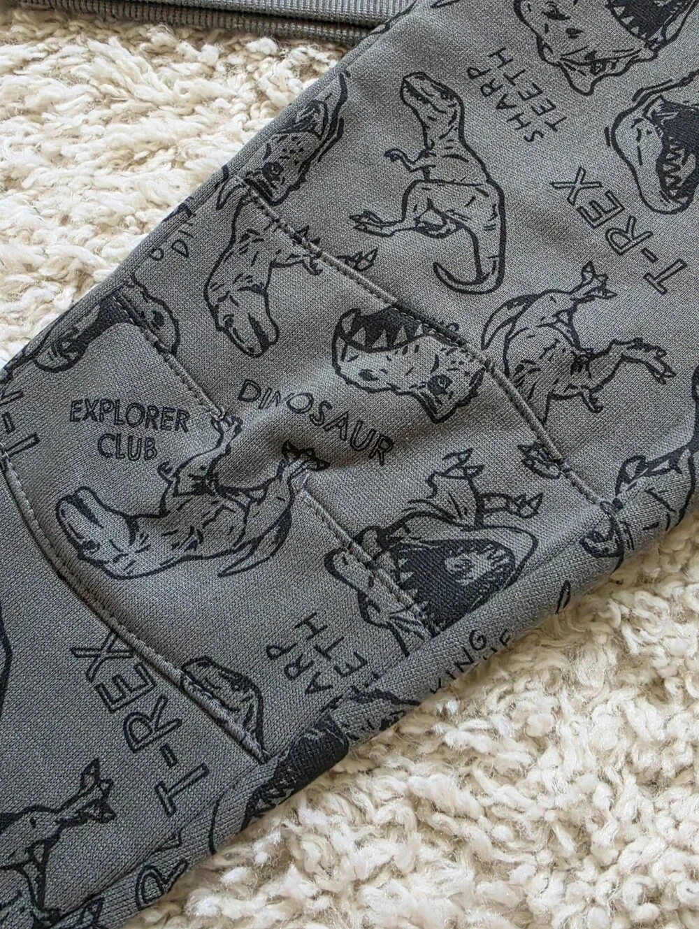 Toddler Boy Dinosaur Outfit (2T)
